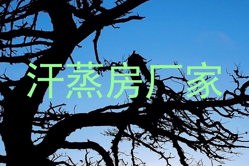 汗蒸房厂家