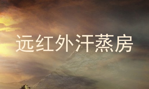 远红外汗蒸房
