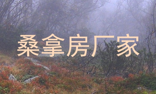 桑拿房厂家