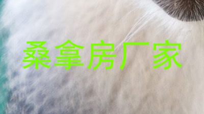 桑拿房厂家