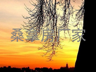 桑拿房厂家