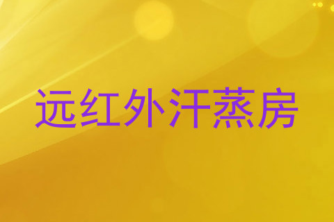 远红外汗蒸房