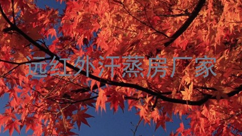 远红外汗蒸房厂家