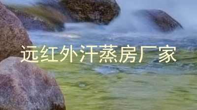 远红外汗蒸房厂家