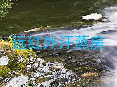 远红外汗蒸房