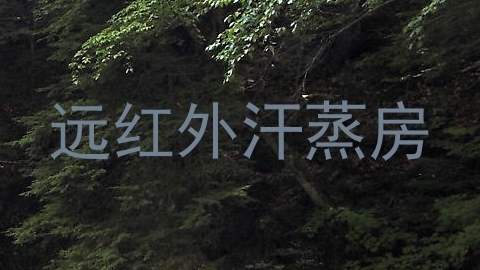 远红外汗蒸房