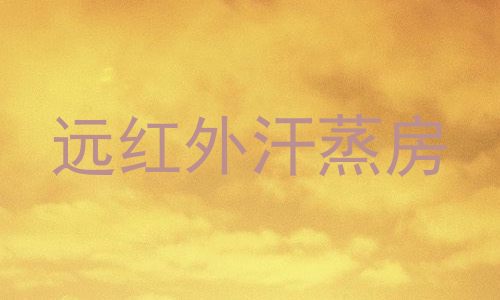 远红外汗蒸房
