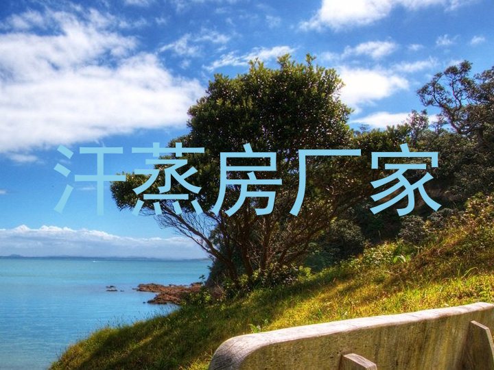 汗蒸房厂家