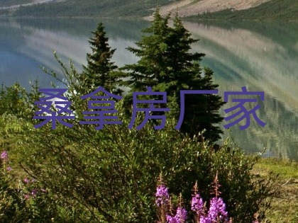 桑拿房厂家