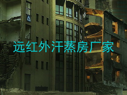 远红外汗蒸房厂家