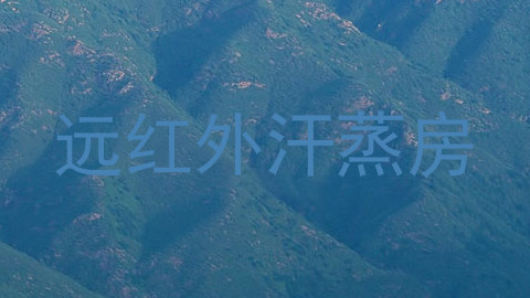 远红外汗蒸房