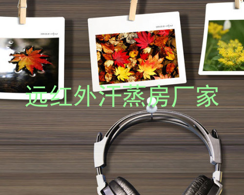 远红外汗蒸房厂家