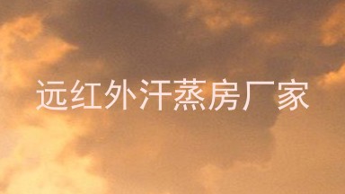 远红外汗蒸房厂家