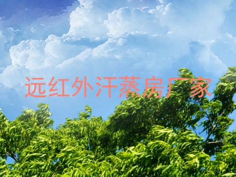 远红外汗蒸房厂家
