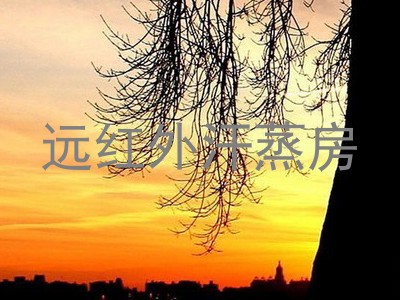 远红外汗蒸房