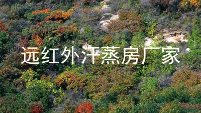 远红外汗蒸房厂家