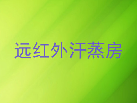 远红外汗蒸房