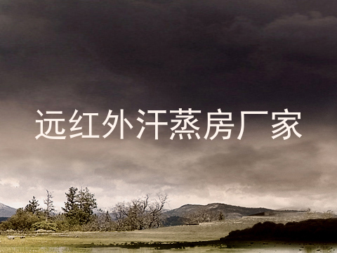 远红外汗蒸房厂家