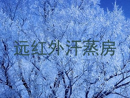 远红外汗蒸房