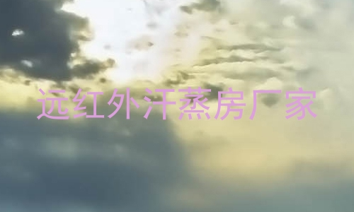 远红外汗蒸房厂家