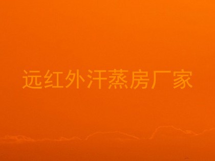 远红外汗蒸房厂家
