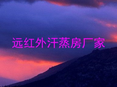 远红外汗蒸房厂家