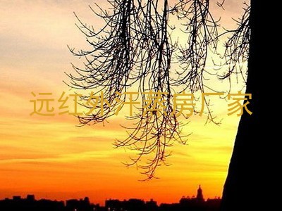 远红外汗蒸房厂家