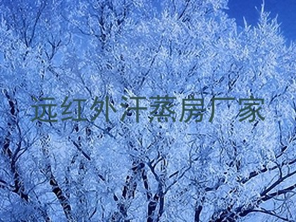 远红外汗蒸房厂家