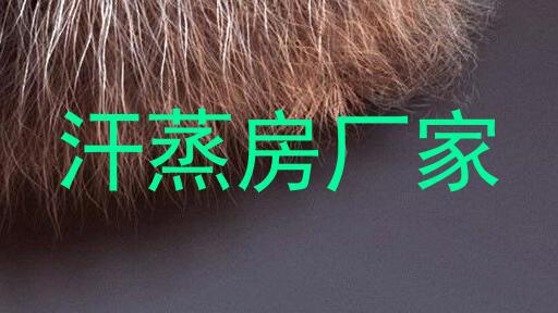 汗蒸房厂家