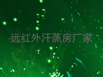 远红外汗蒸房厂家
