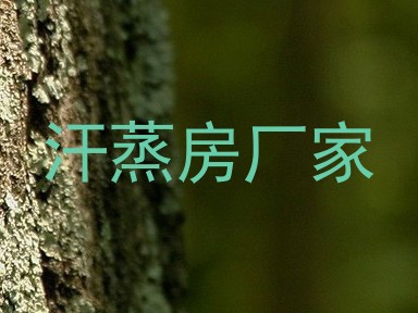 汗蒸房厂家