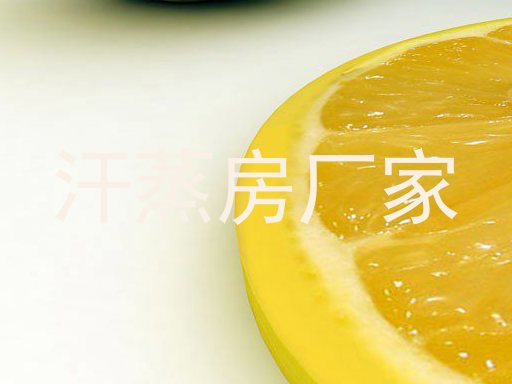汗蒸房厂家