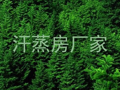 汗蒸房厂家