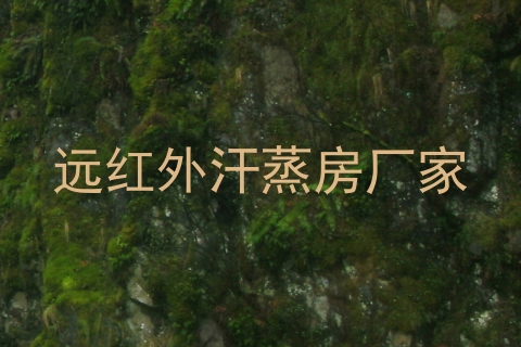 远红外汗蒸房厂家