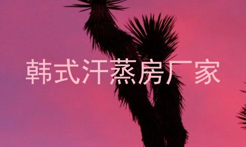 韩式汗蒸房厂家