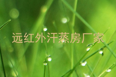 远红外汗蒸房厂家