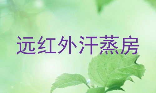 远红外汗蒸房