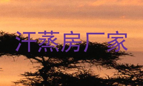 汗蒸房厂家