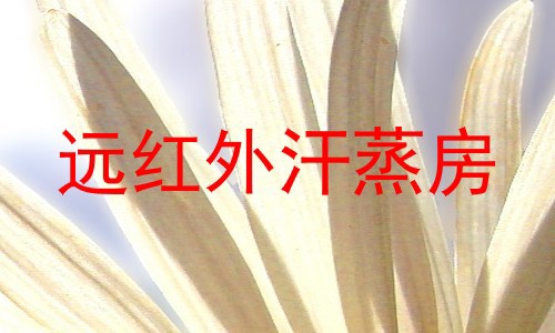 远红外汗蒸房