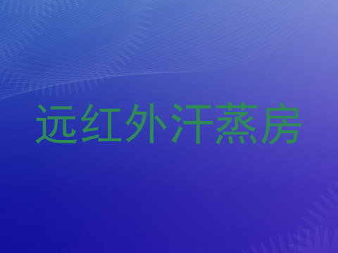 远红外汗蒸房