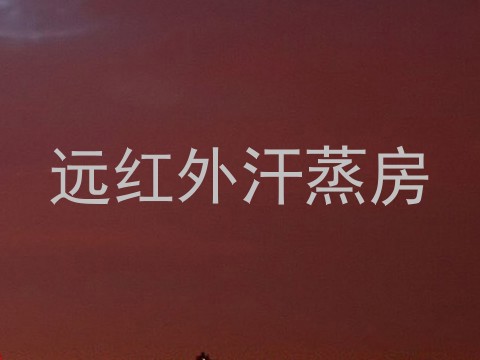 远红外汗蒸房