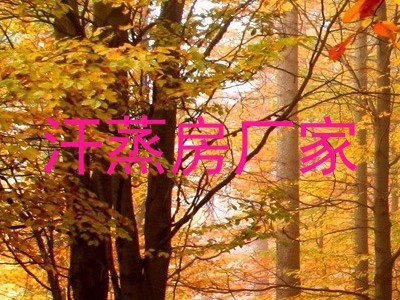 汗蒸房厂家