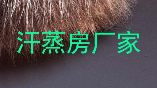 汗蒸房厂家