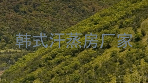 韩式汗蒸房厂家