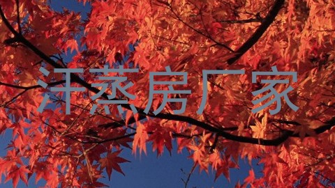 汗蒸房厂家