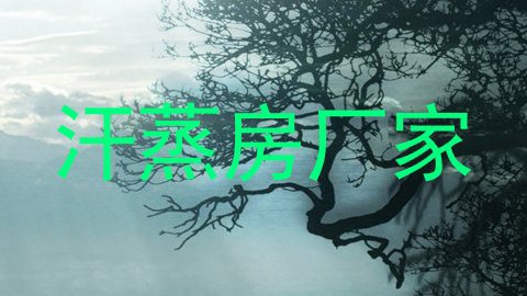 汗蒸房厂家