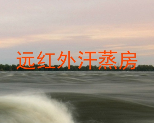 远红外汗蒸房