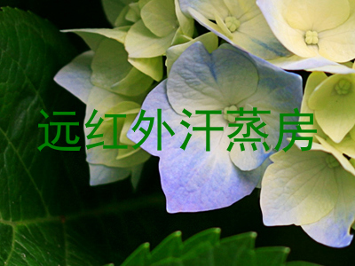 远红外汗蒸房