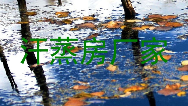 汗蒸房厂家