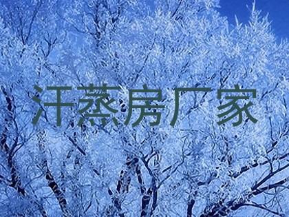 汗蒸房厂家